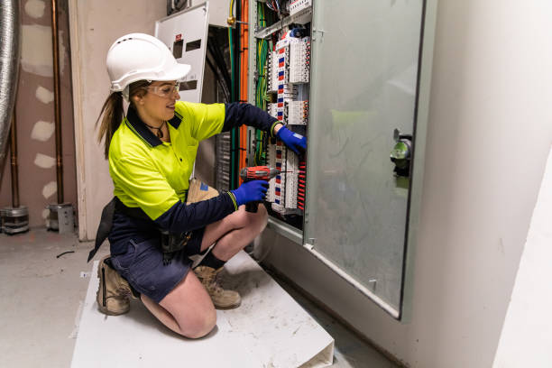 Best Electrical System Inspection  in Morrisonvle, IL