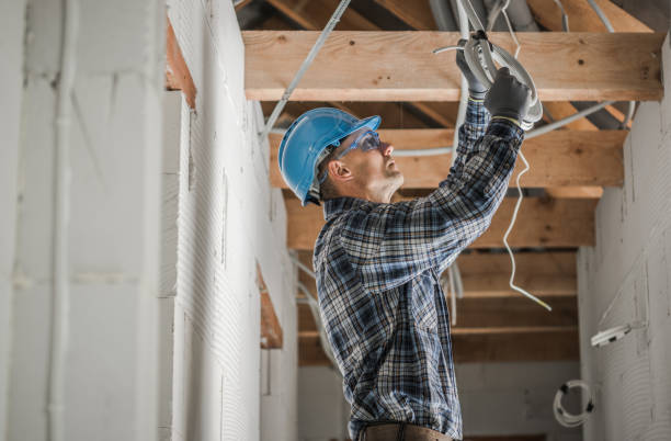 Best Best Electricians Near Me  in Morrisonvle, IL