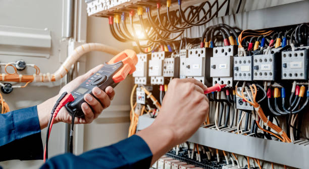 Best Electrician for Home Renovation  in Morrisonvle, IL